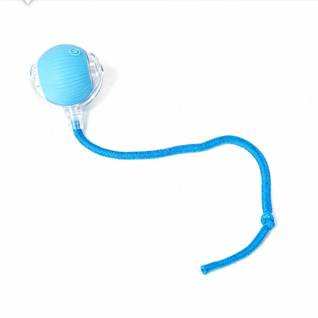 USB Rechargeable Rolling Cat Ball with Teasing Stick