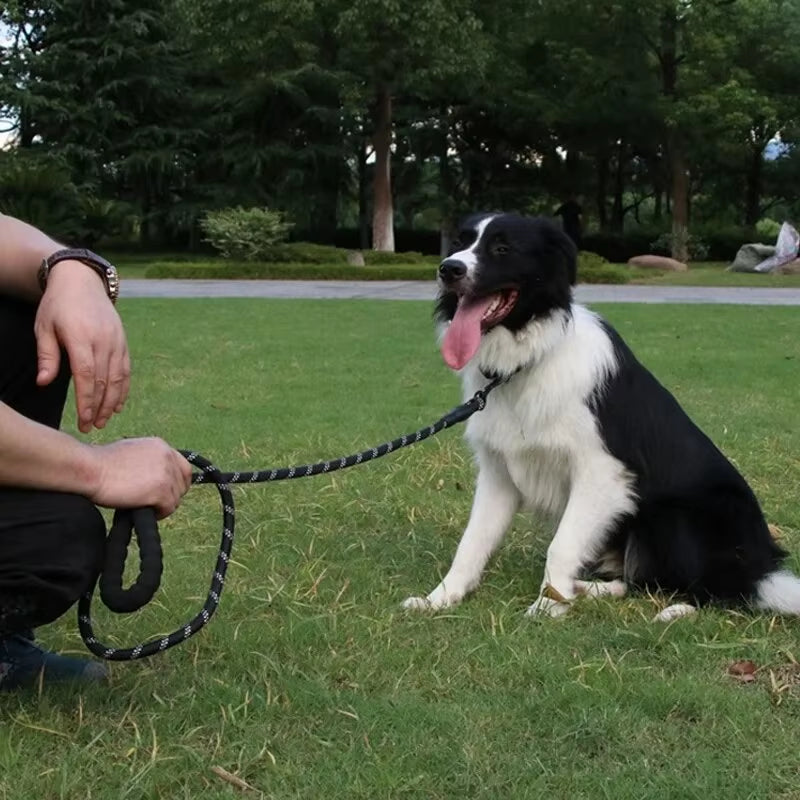 Reflective Nylon Round Walking Leash for Dogs
