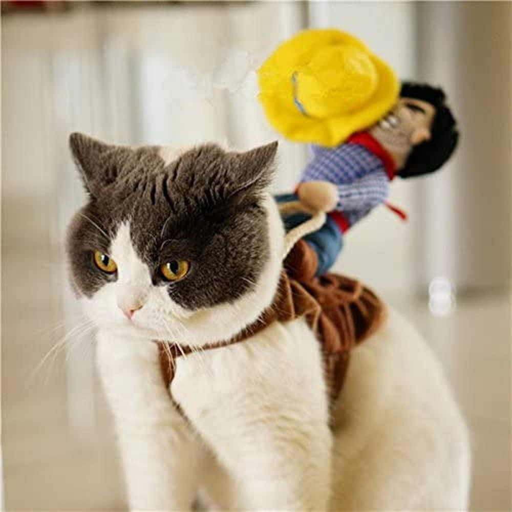 Novelty Cowboy Rider Costume for Dogs & Cats
