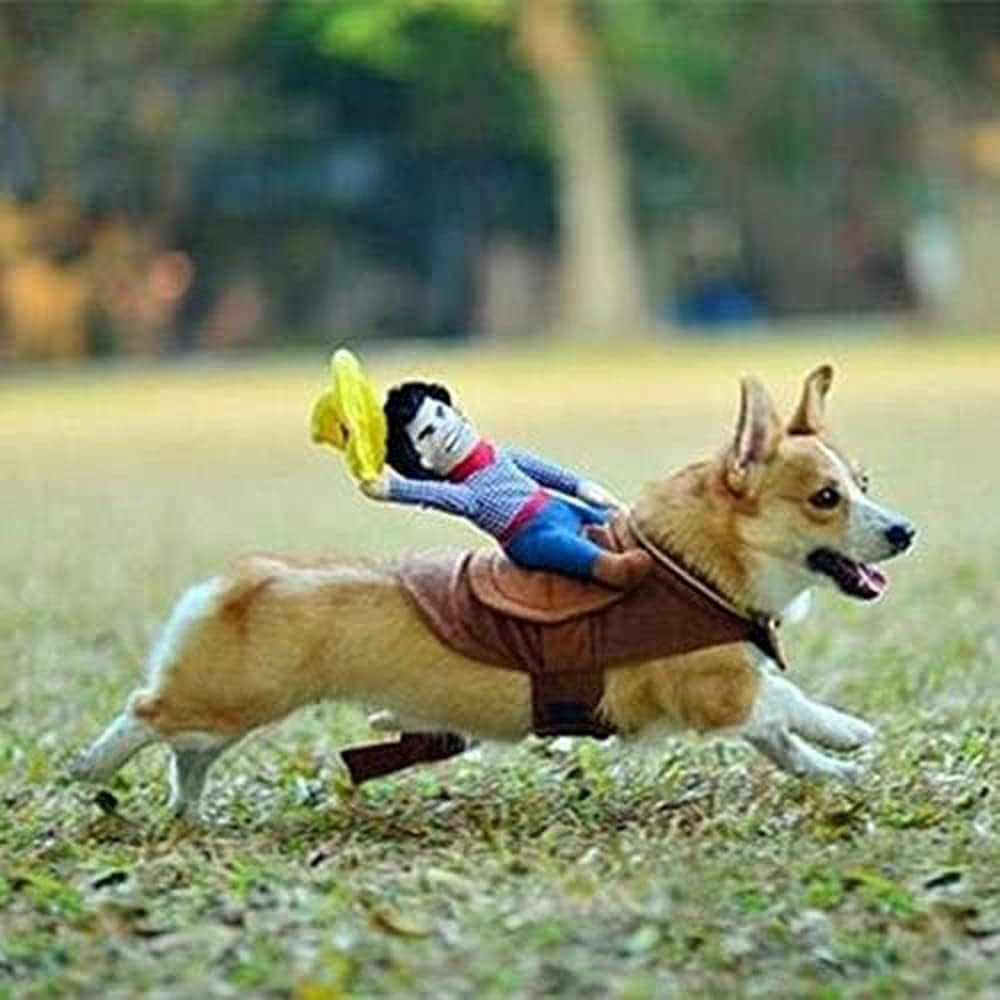 Novelty Cowboy Rider Costume for Dogs & Cats