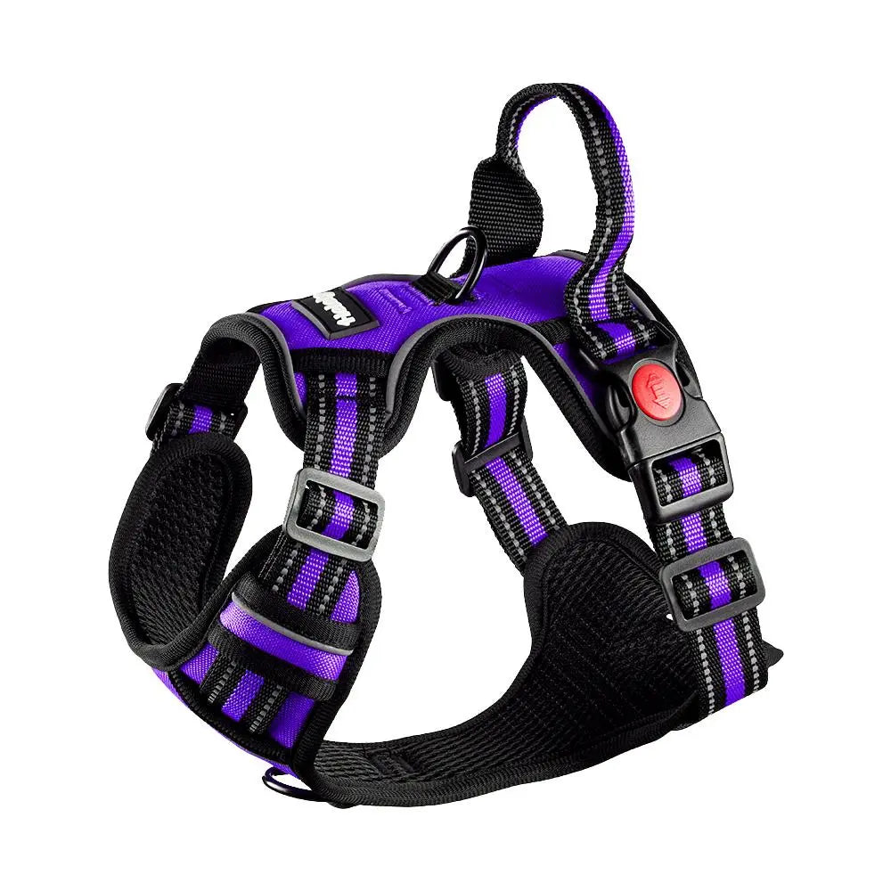 Adjustable Padded Dog Vest Harness with Front & Back Clips