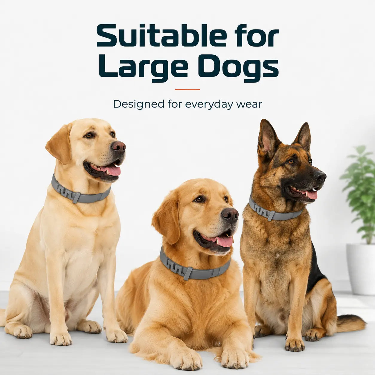 Premium Lightweight Scented Dog Collar for Large & Medium Dogs