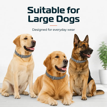 Premium Lightweight Scented Dog Collar for Large & Medium Dogs