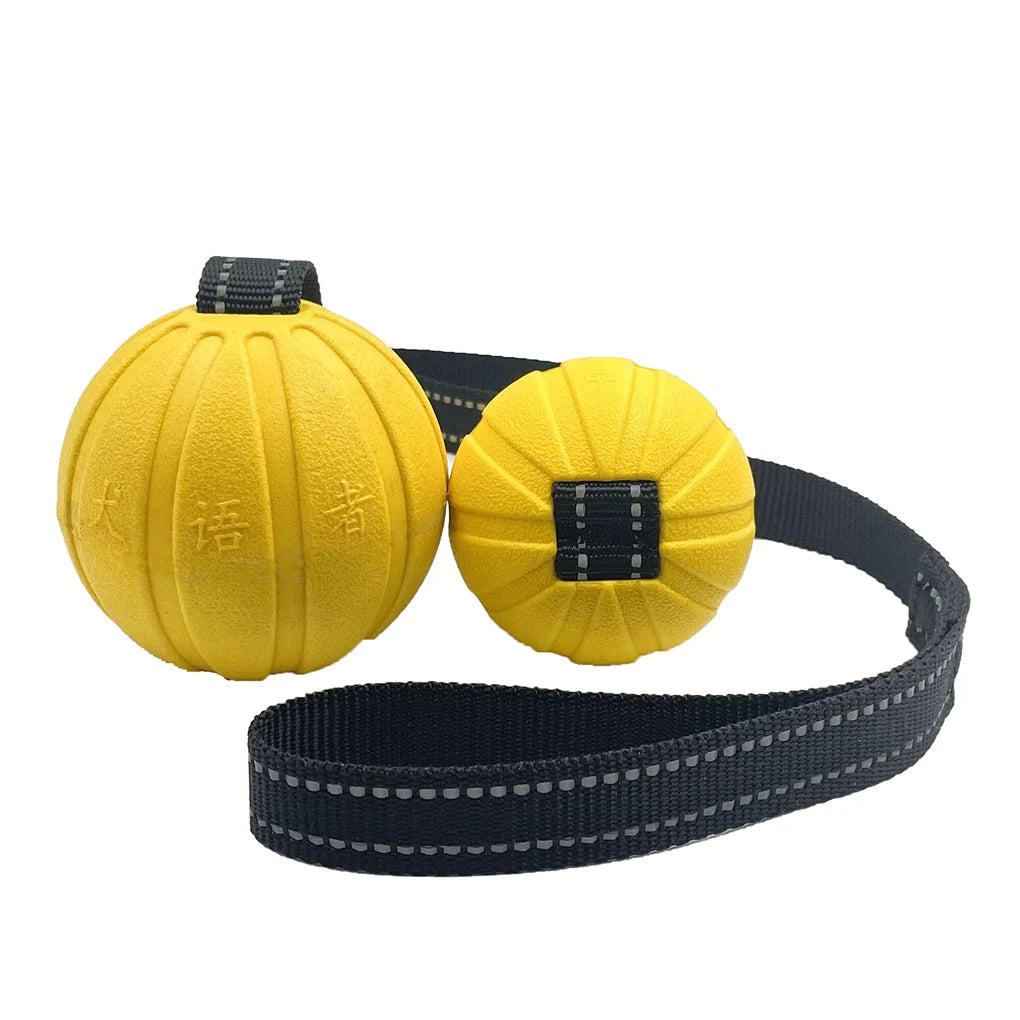 Durable Training Ball on Strap