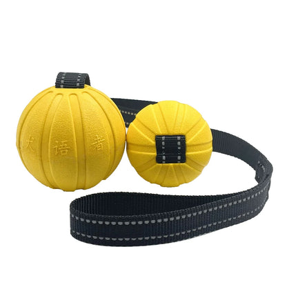 Durable Training Ball on Strap