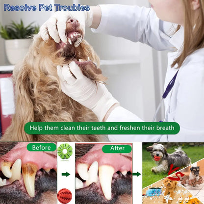 Natural Rubber Tooth Cleaning Treat Ball