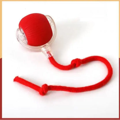 USB Rechargeable Rolling Cat Ball with Teasing Stick