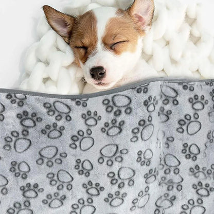 Soft Fluffy Cute Pattern Pet Blanket