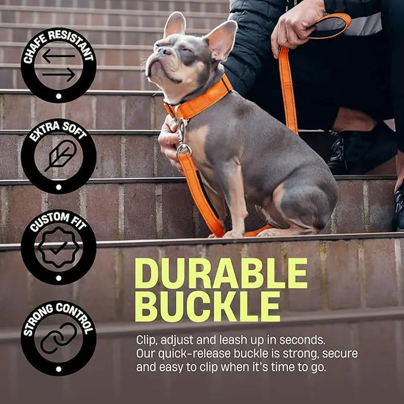 Heavy-Duty Tactical Dog Collar