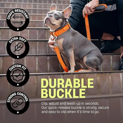 Heavy-Duty Tactical Dog Collar