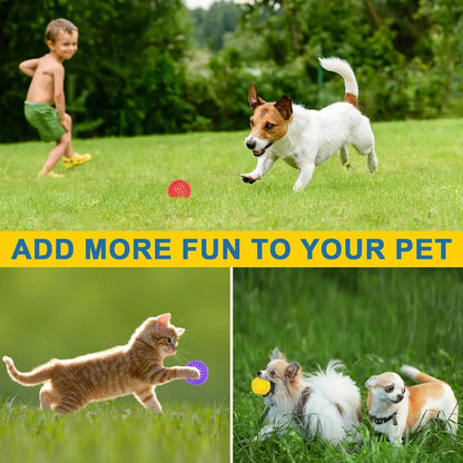 12 Pack 2.5 Inch Squeaky Dog Toy Balls Spikey Dog Balls Large Dog Chew Toys for Medium Large and Small Dogs for Aggressive Chewers, 6 Colors Spiky Safe