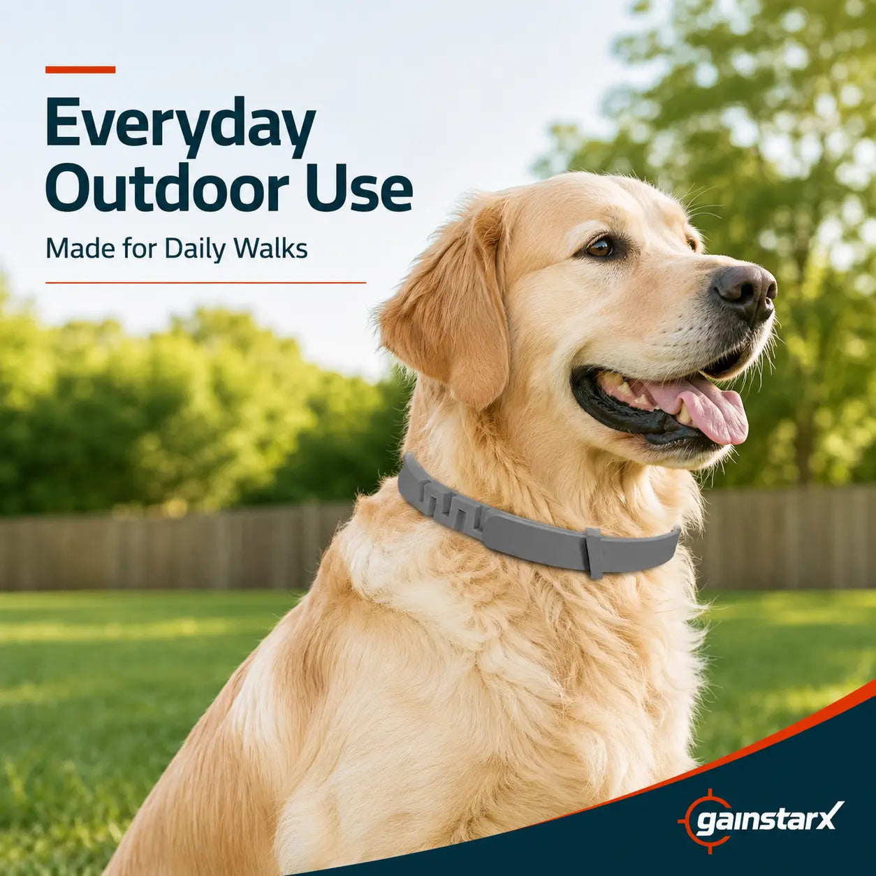 Premium Lightweight Scented Dog Collar for Large & Medium Dogs