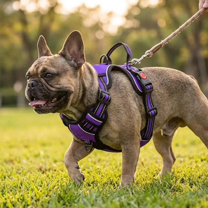 Adjustable Padded Dog Vest Harness with Front & Back Clips