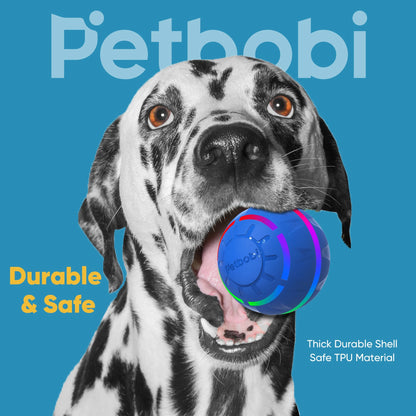 Active Rolling Dog Ball with LED Lights