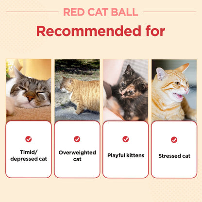 Red Cat Ball