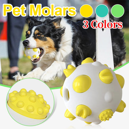 Dental Care Suction Chew Toy