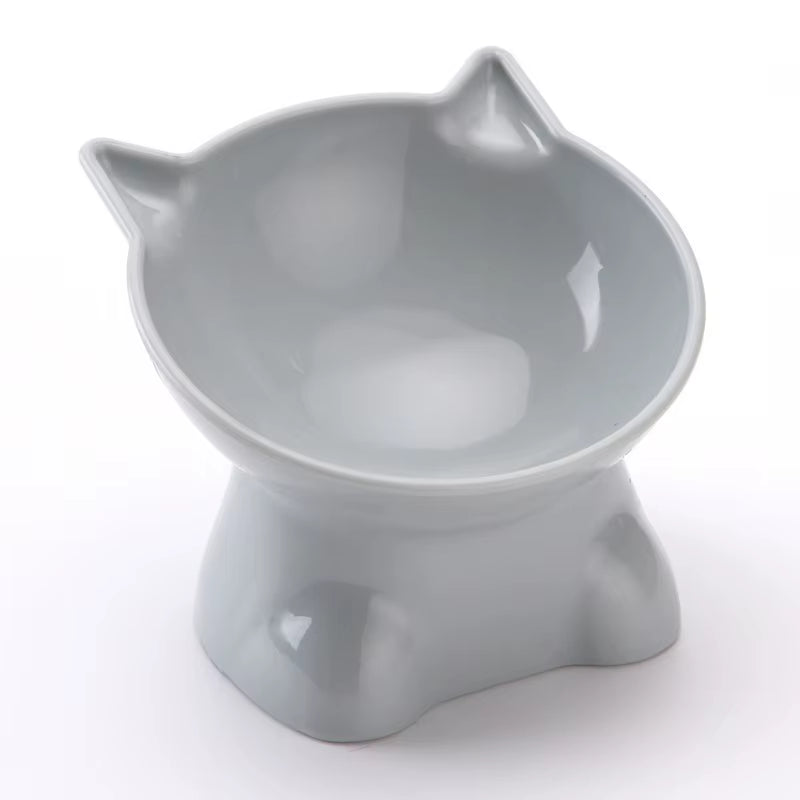 Cute Tilted Elevated Cat Food & Water Bowl