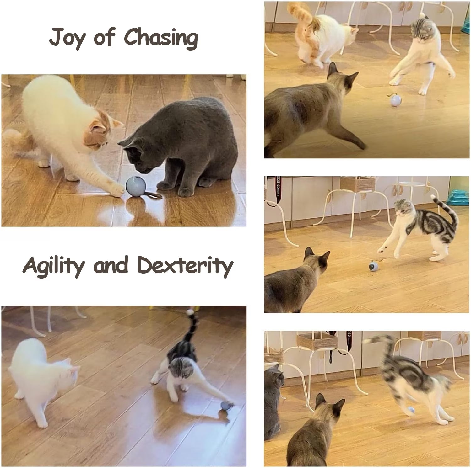 Interactive Automatic Moving Ball Cat Toy (USB Rechargeable)