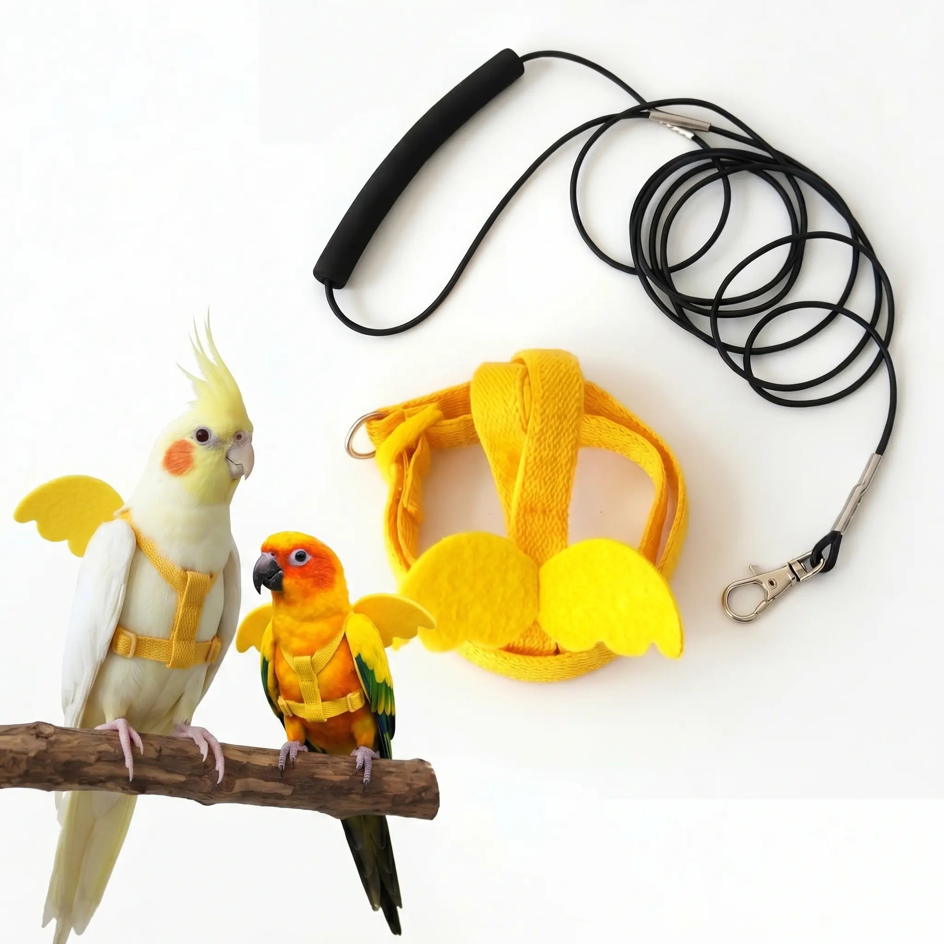 Outdoor Safety Bird Training Harness for Parrots & Cockatiels
