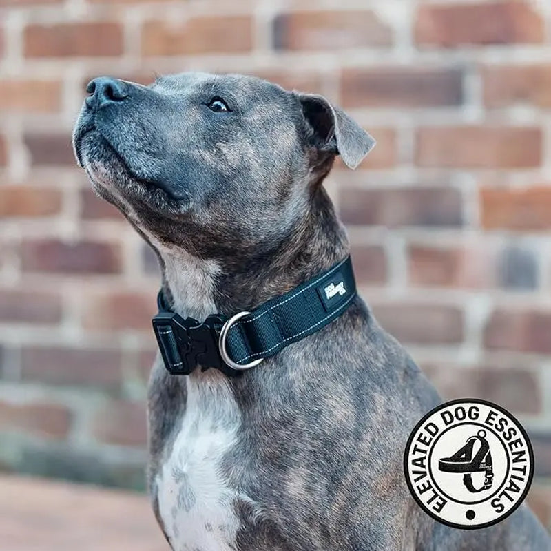 Heavy-Duty Tactical Dog Collar
