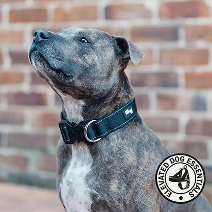 Heavy-Duty Tactical Dog Collar
