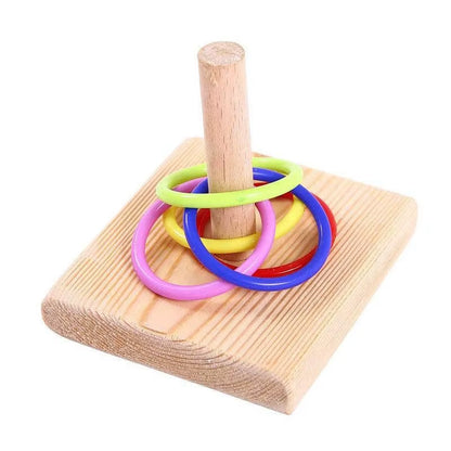 Interactive Bird Training Ring & Educational Toy