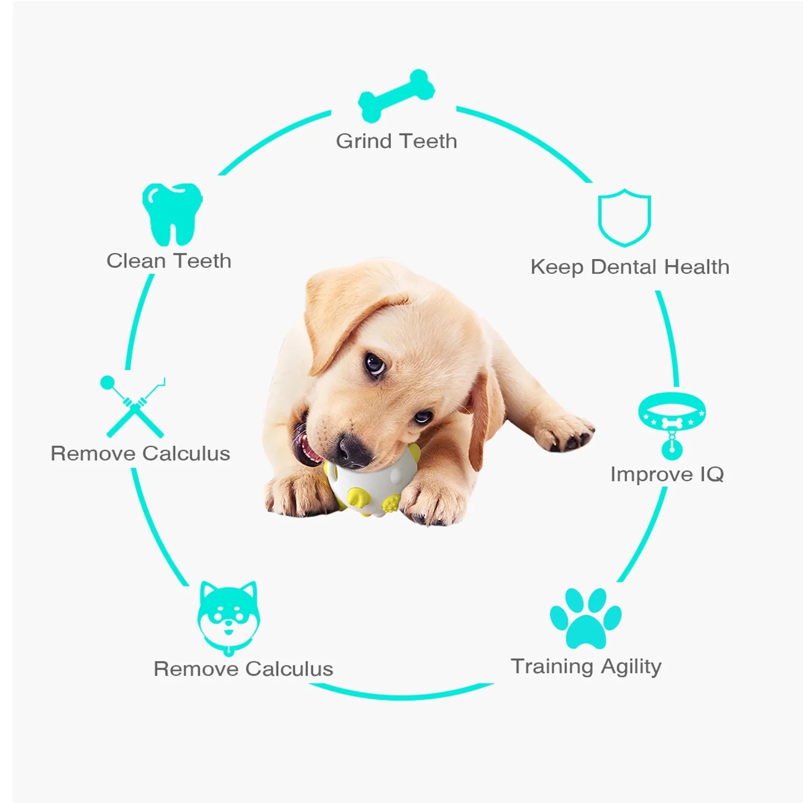 Dental Care Suction Chew Toy
