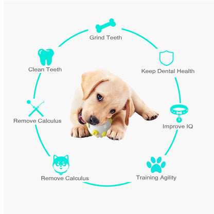 Dental Care Suction Chew Toy