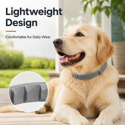 Premium Lightweight Scented Dog Collar for Large & Medium Dogs