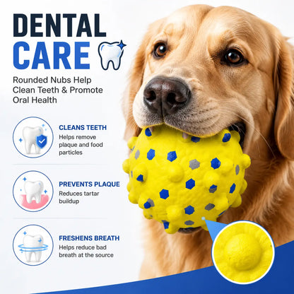 Interactive Treat-Dispensing Dog Toy Ball – Spiky Dental Chew Ball