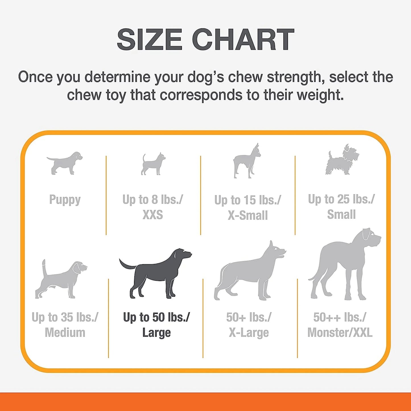 Beef-Flavored Power Chew X-Bone Toy for Large Dogs
