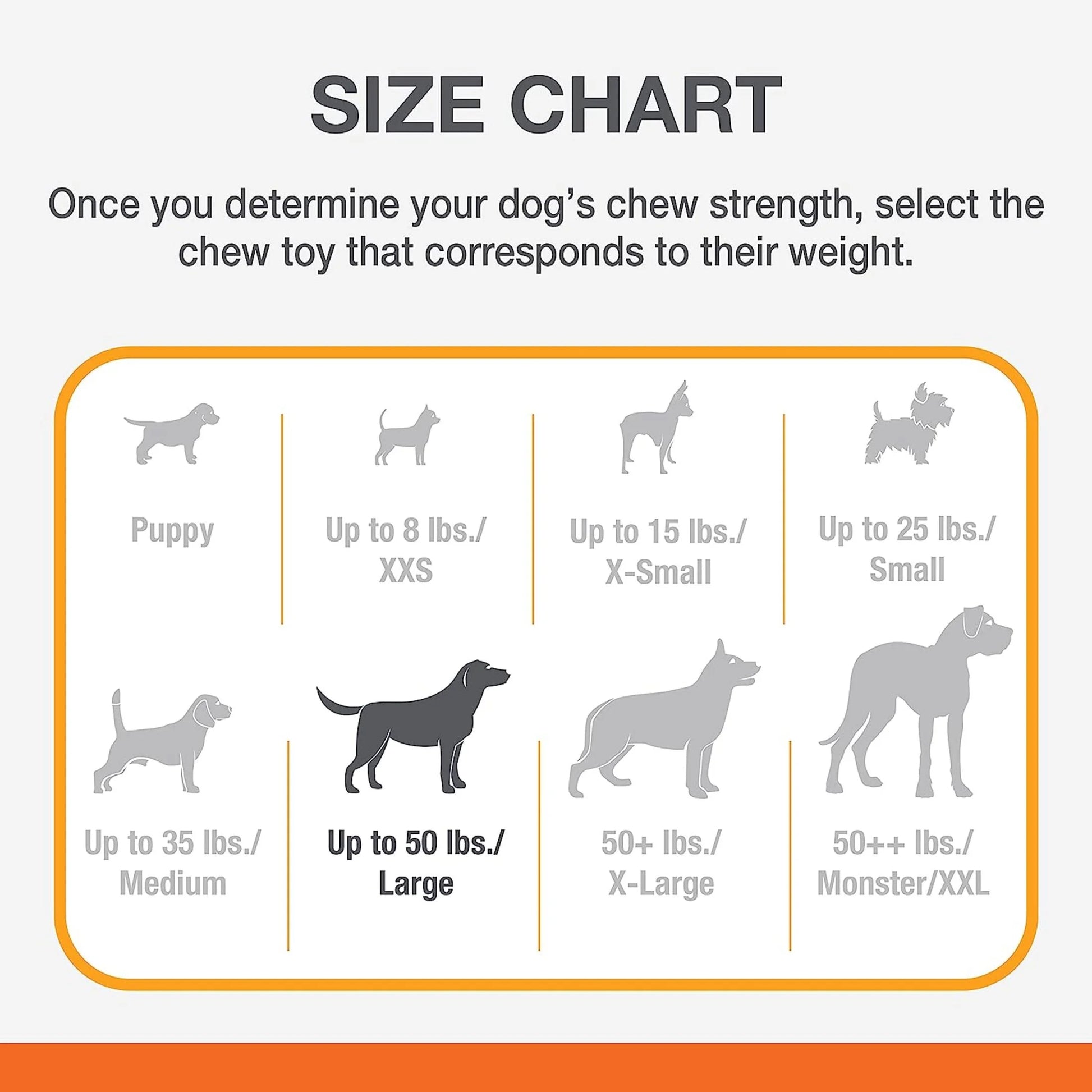 Beef-Flavored Power Chew X-Bone Toy for Large Dogs
