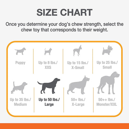 Beef-Flavored Power Chew X-Bone Toy for Large Dogs