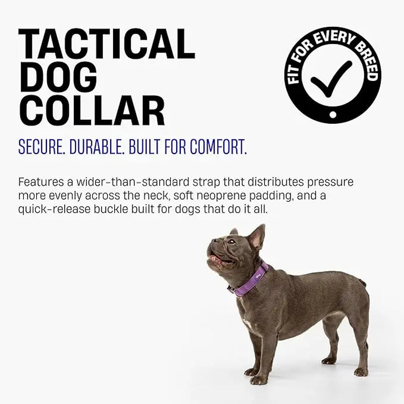 Heavy-Duty Tactical Dog Collar