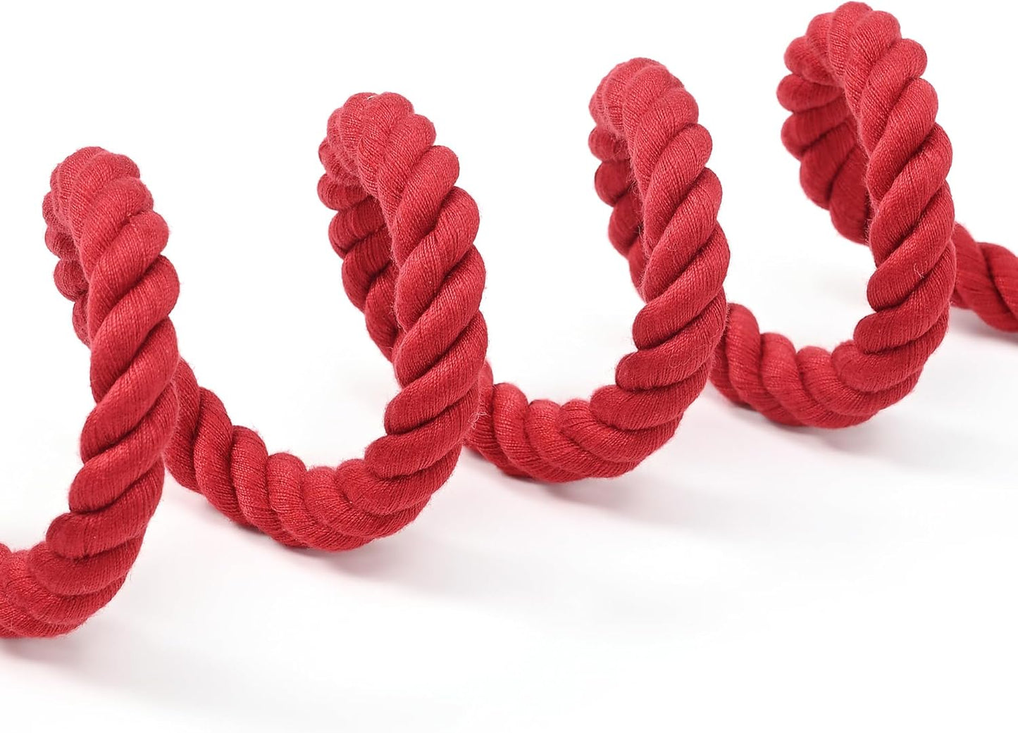Heavy-Duty Braided Cotton Rope Dog Leash (5FT)