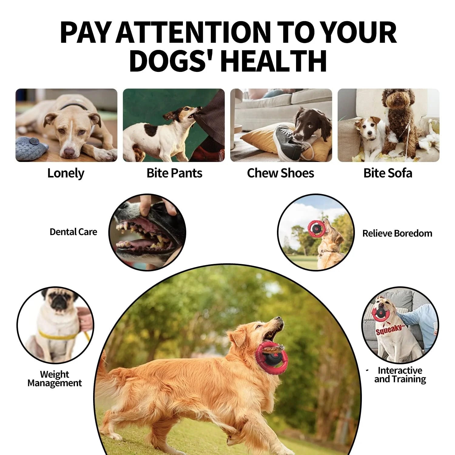 Extra Durable Squeaky Chew Toy for Aggressive Chewers