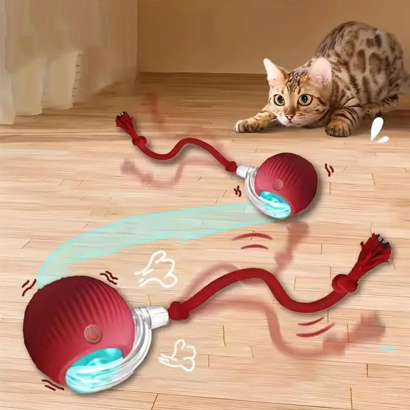 USB Rechargeable Rolling Cat Ball with Teasing Stick