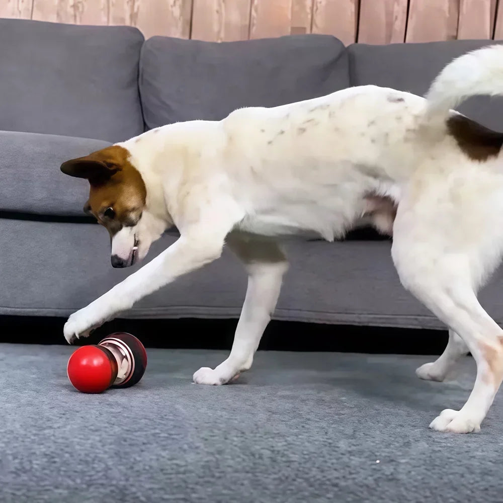 Interactive Slow Feeder Treat Dispenser Ball