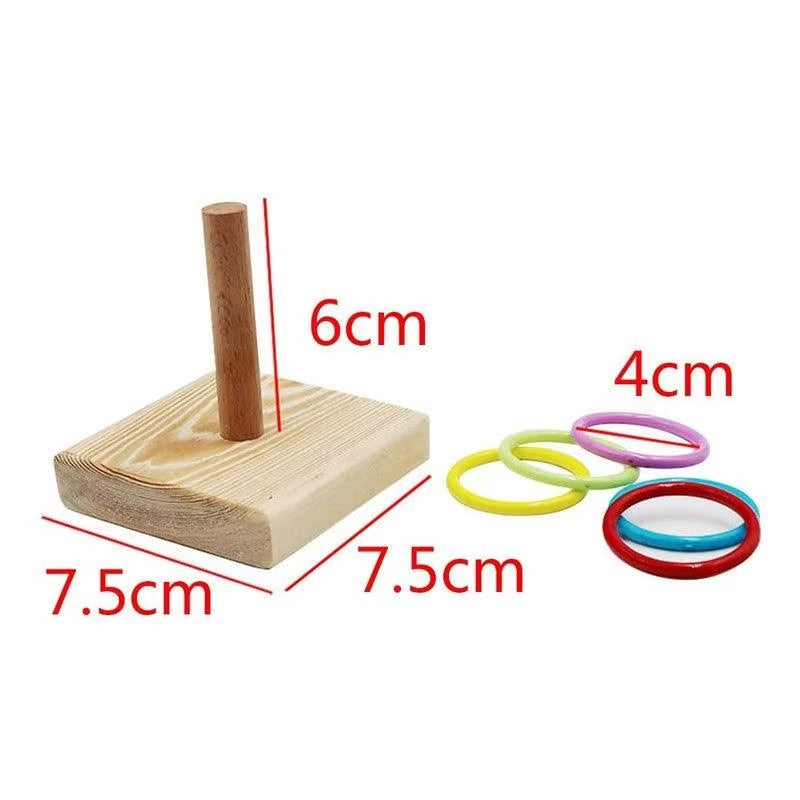 Interactive Bird Training Ring & Educational Toy
