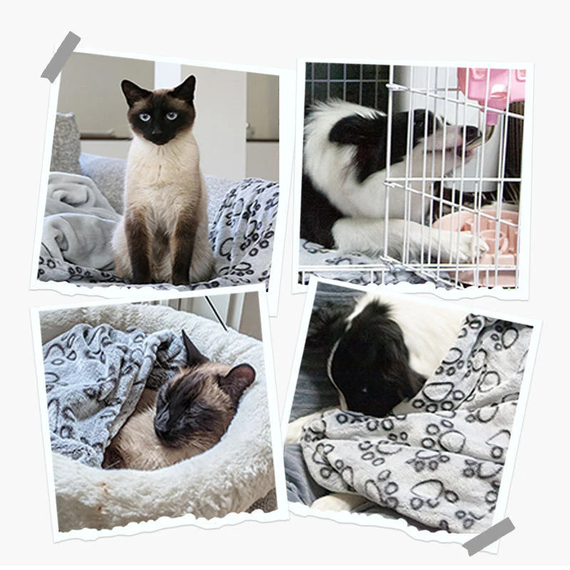 Soft Fluffy Cute Pattern Pet Blanket