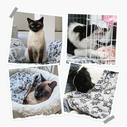 Soft Fluffy Cute Pattern Pet Blanket