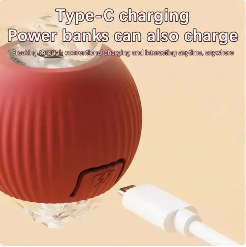 USB Rechargeable Rolling Cat Ball with Teasing Stick