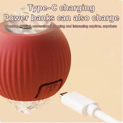 USB Rechargeable Rolling Cat Ball with Teasing Stick