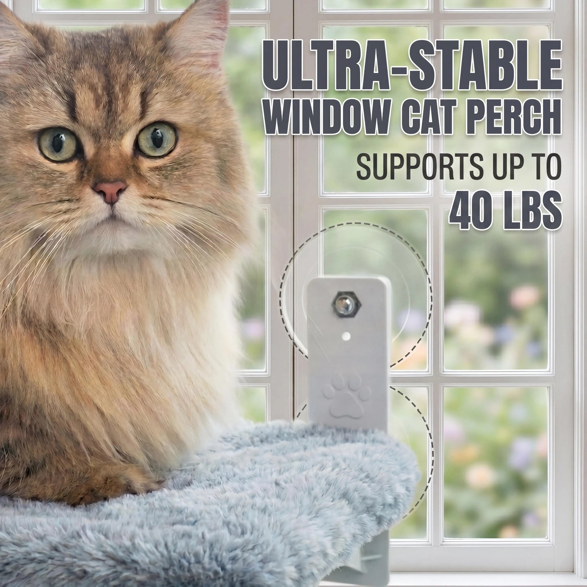 Cordless Folding Window Cat Hammock & Perch