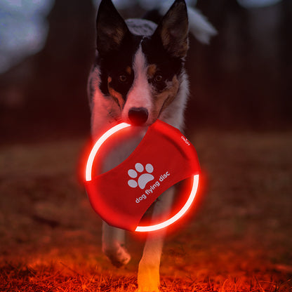 Light-Up LED Luminous Flying Disc Dog Toy