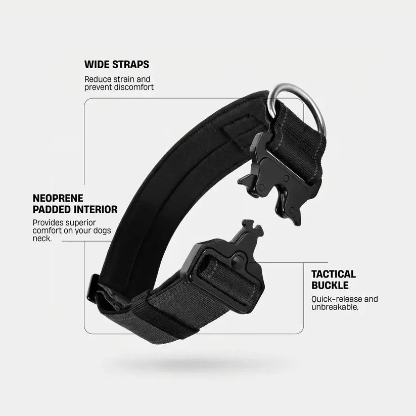Heavy-Duty Tactical Dog Collar