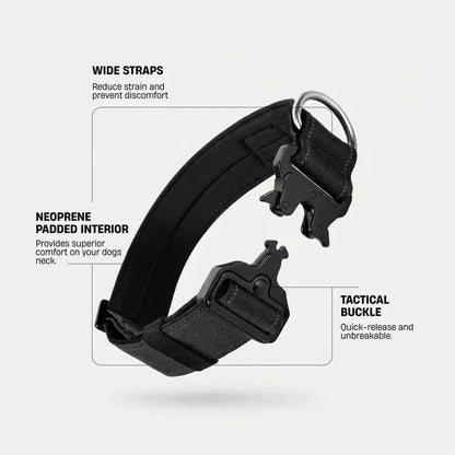 Heavy-Duty Tactical Dog Collar