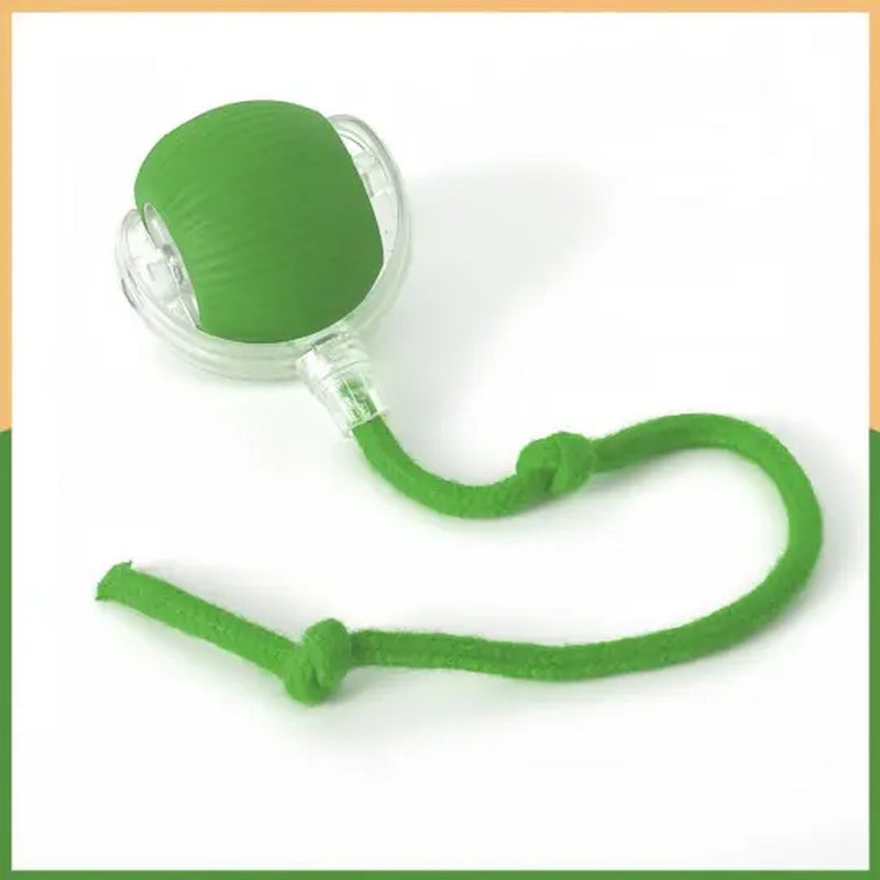 USB Rechargeable Rolling Cat Ball with Teasing Stick