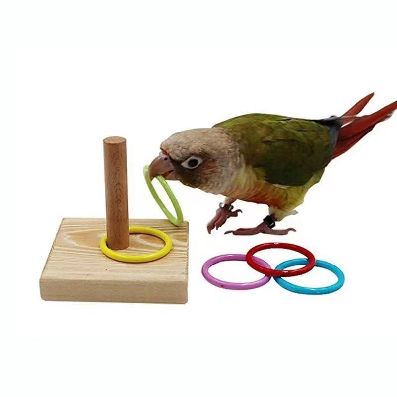 Interactive Bird Training Ring & Educational Toy