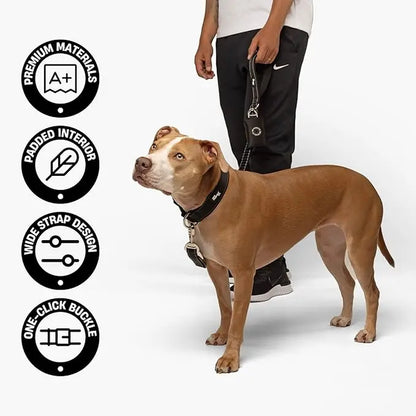 Heavy-Duty Tactical Dog Collar